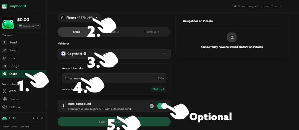 Leap Dashboard instructions